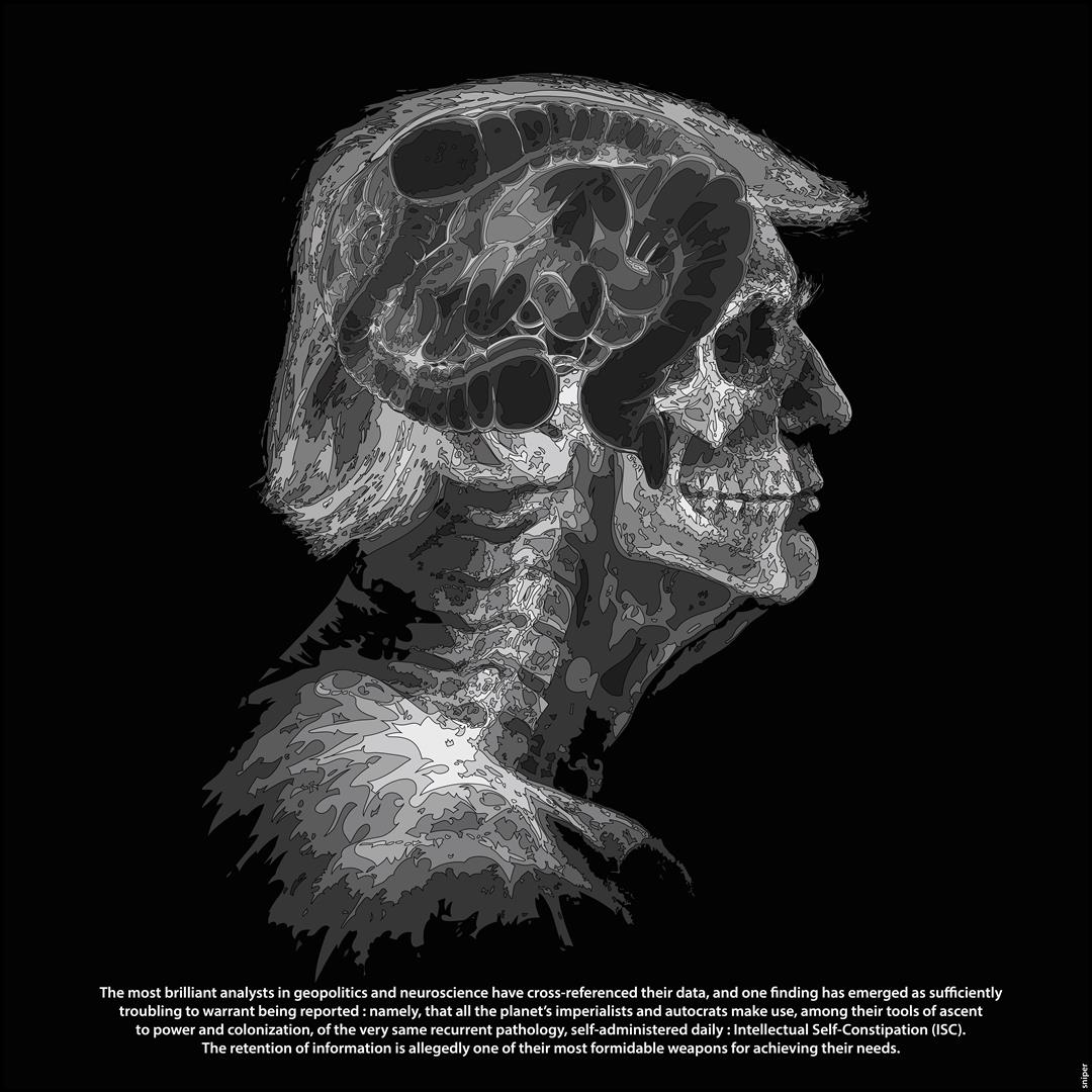 Art 5